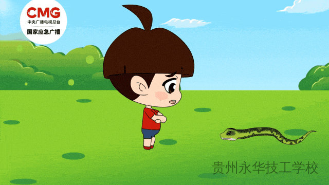 已进入活跃期！防蛇安全指南，请转发给身边的朋友！