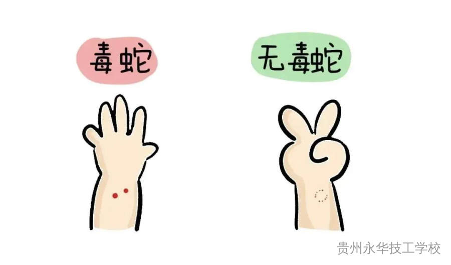 已进入活跃期！防蛇安全指南，请转发给身边的朋友！