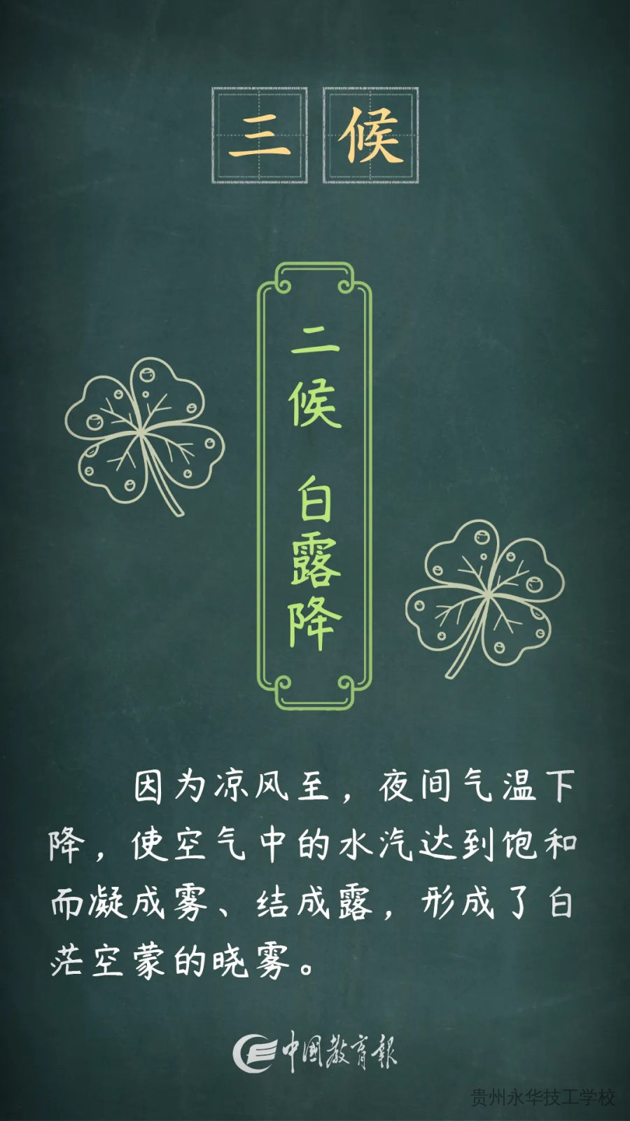 夏意犹未尽，忽觉秋已来——二十四节气之立秋