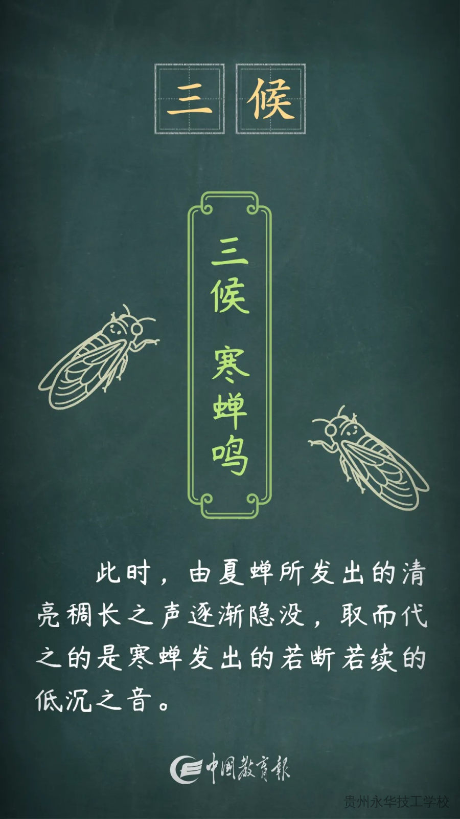 夏意犹未尽，忽觉秋已来——二十四节气之立秋